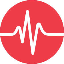 Life Leisure logo